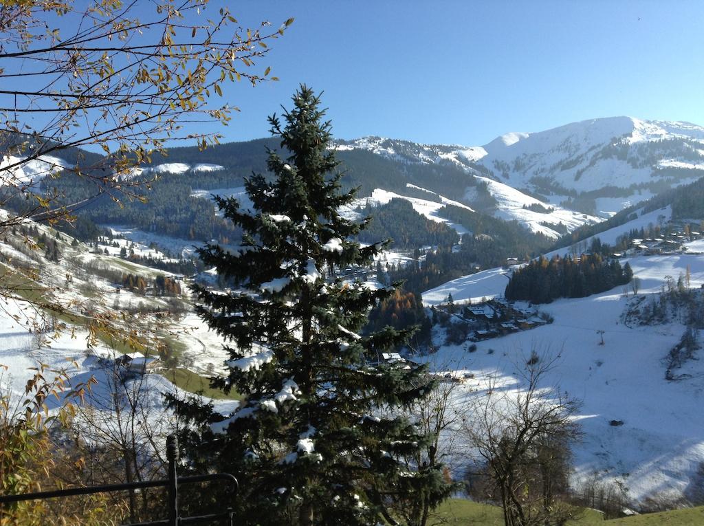 Ferienwohnung Klappacher Maria Alm am Steinernen Meer Exterior foto